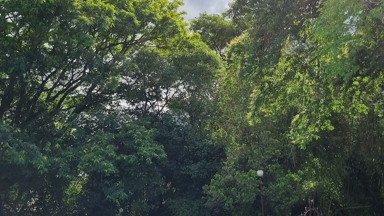 Photo of Outdoor in Salta