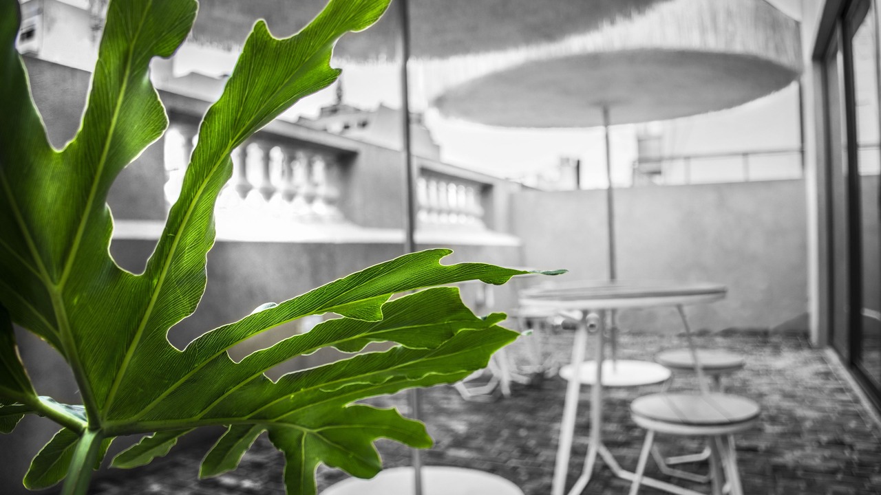 Photo of Patio Balcony in Balvanera