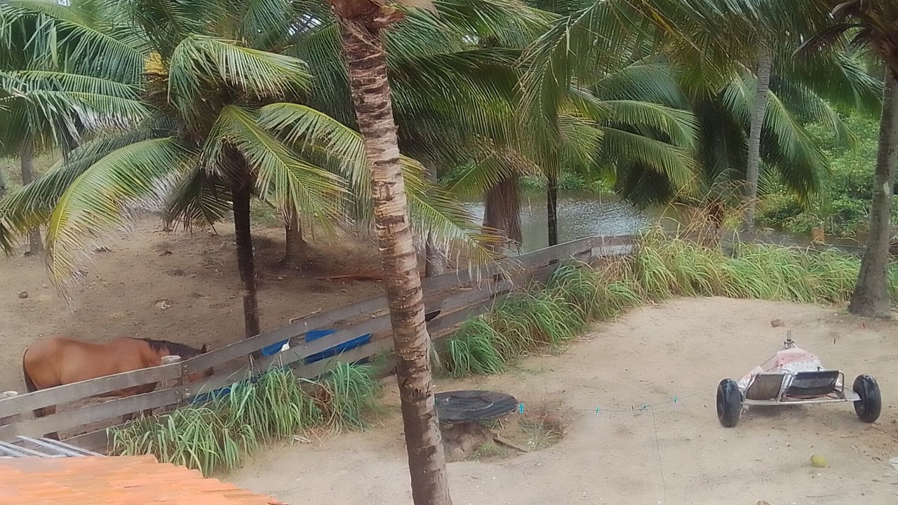 Photo of Outdoor in Pontal do Peba