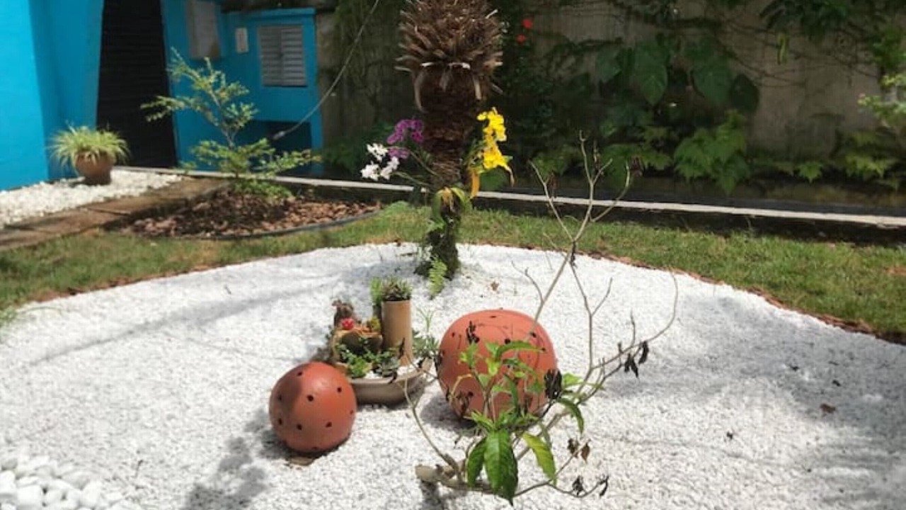 Photo of Outdoor in Canto do Forte