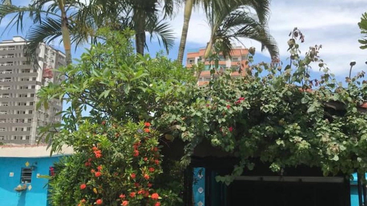 Photo of Outdoor in Canto do Forte