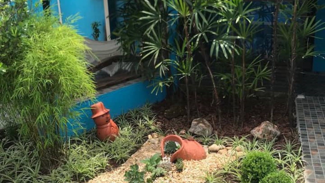 Photo of Outdoor in Canto do Forte