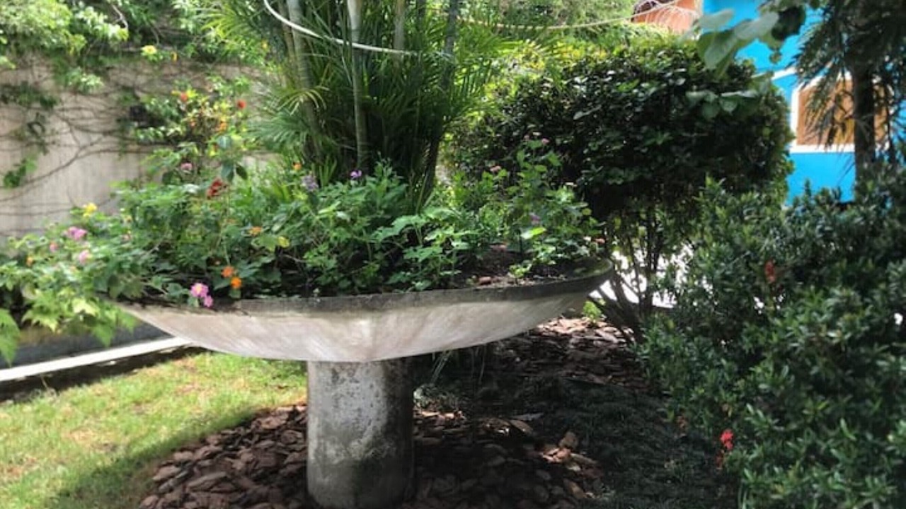 Photo of Outdoor in Canto do Forte