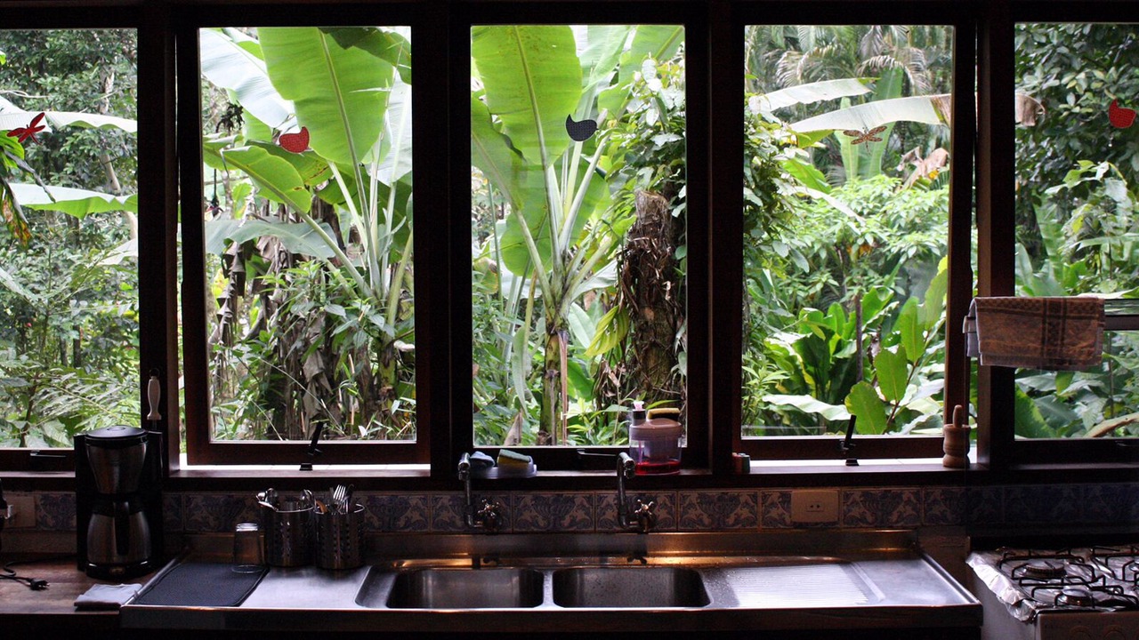 Photo of Kitchen in Camburi