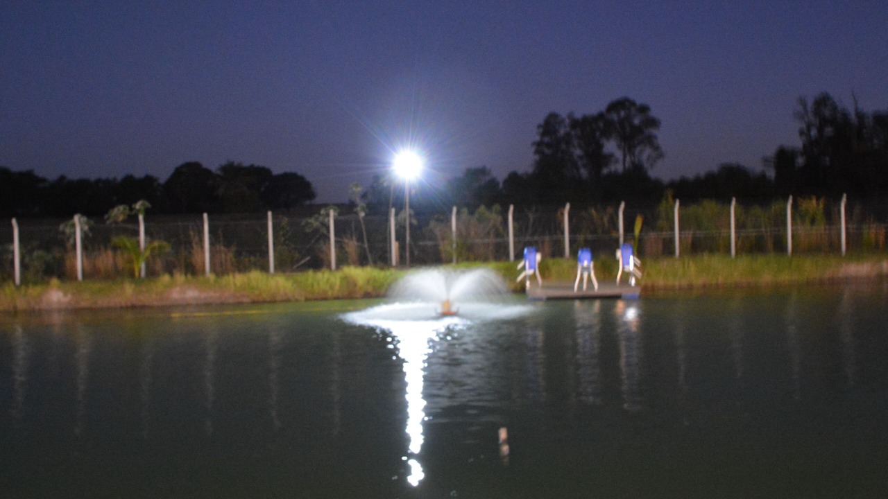 Photo of Outdoor in Irapua