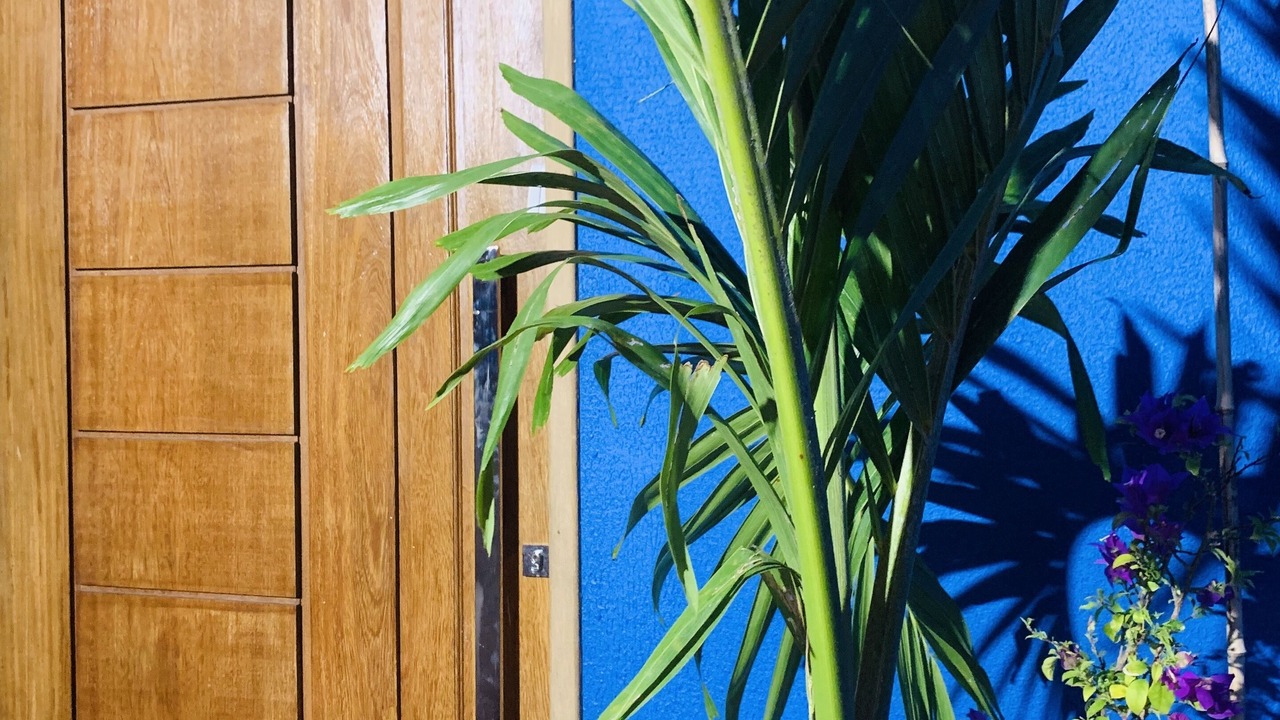 Photo of Outdoor in Sao Luis