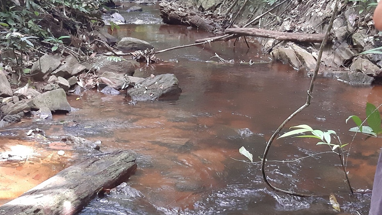 Photo of Outdoor in Itacare