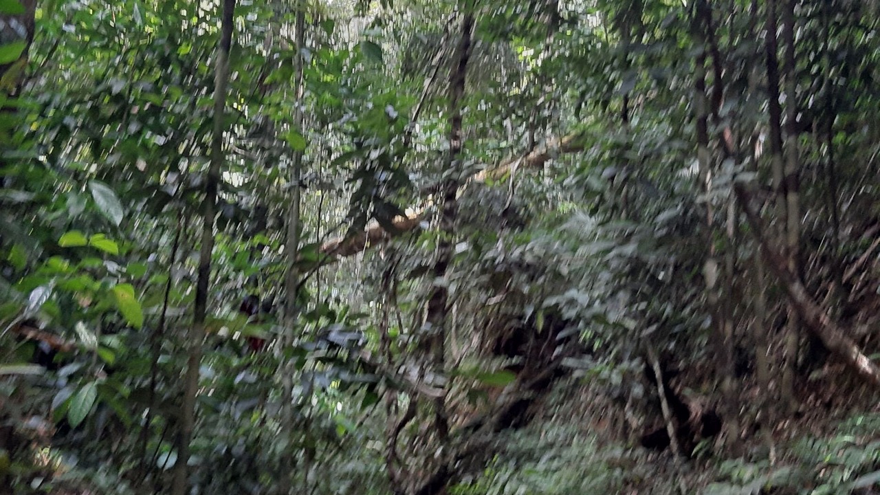 Photo of Outdoor in Itacare