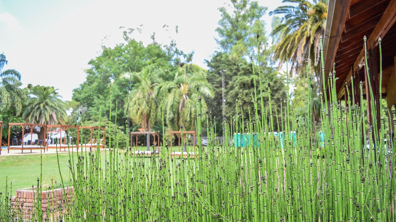 Photo of Outdoor in Funes