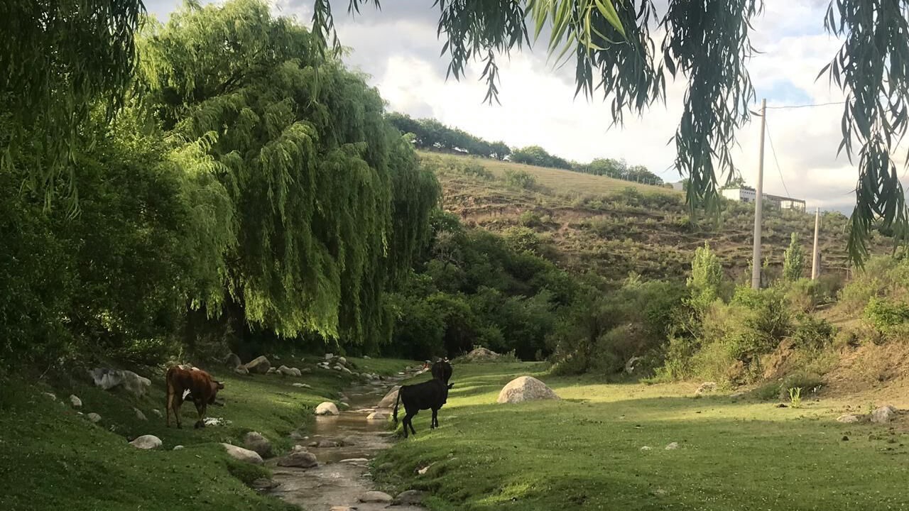 Photo of Outdoor in El Mollar
