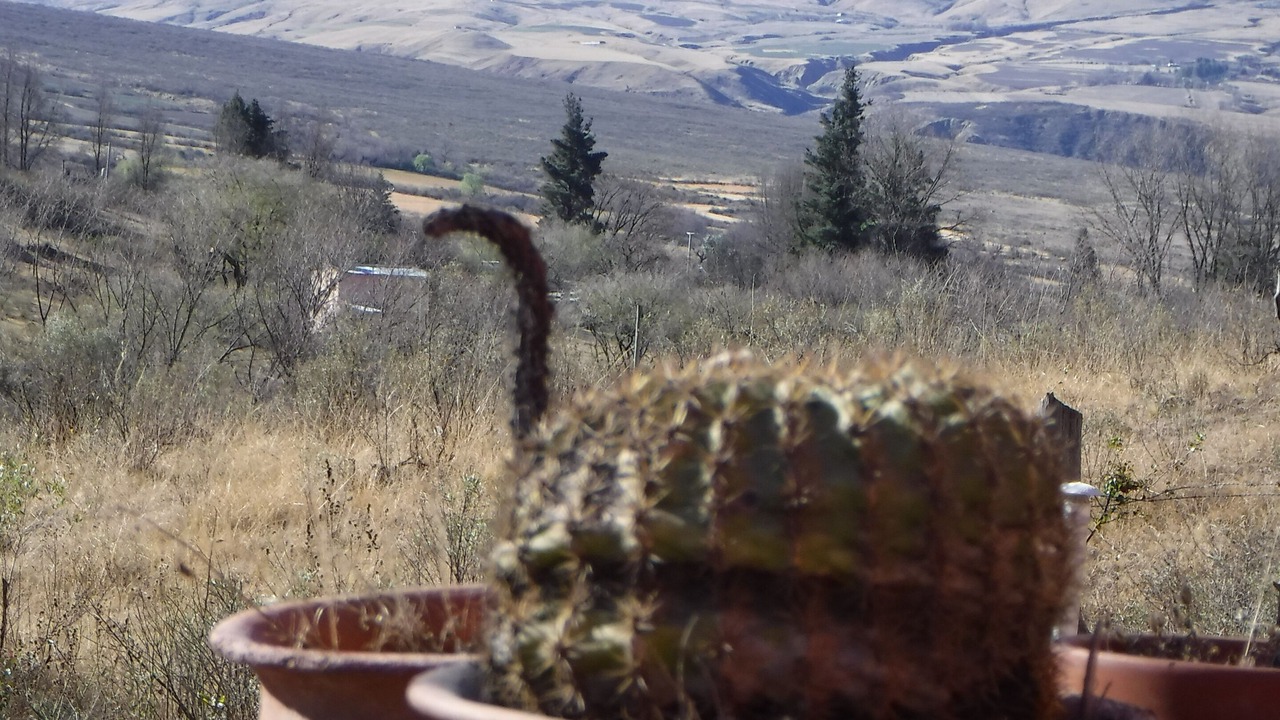 Photo of Others in El Mollar