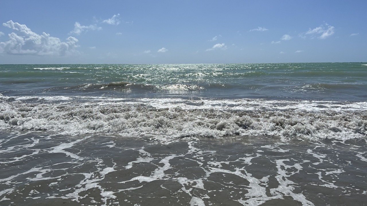 Photo of Others in Porto de Pedras
