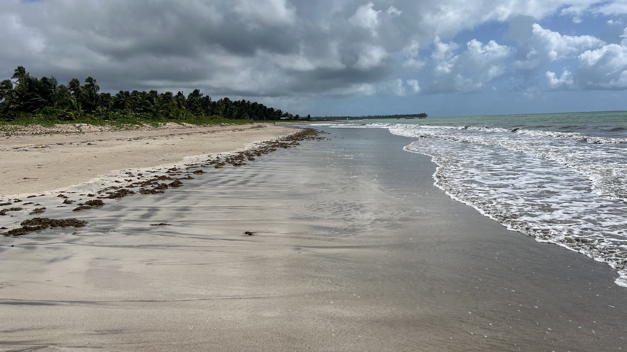 Photo of Others in Porto de Pedras