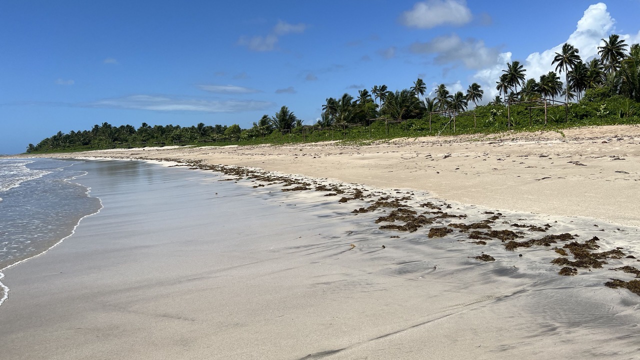 Photo of Others in Porto de Pedras