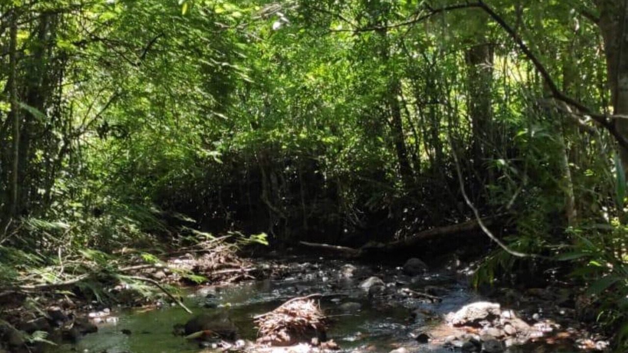 Photo of Outdoor in Frederico Westphalen