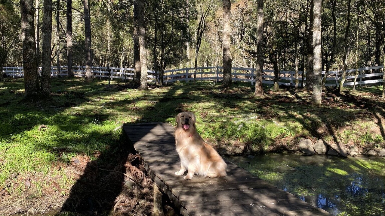 Photo of Outdoor in Urubici