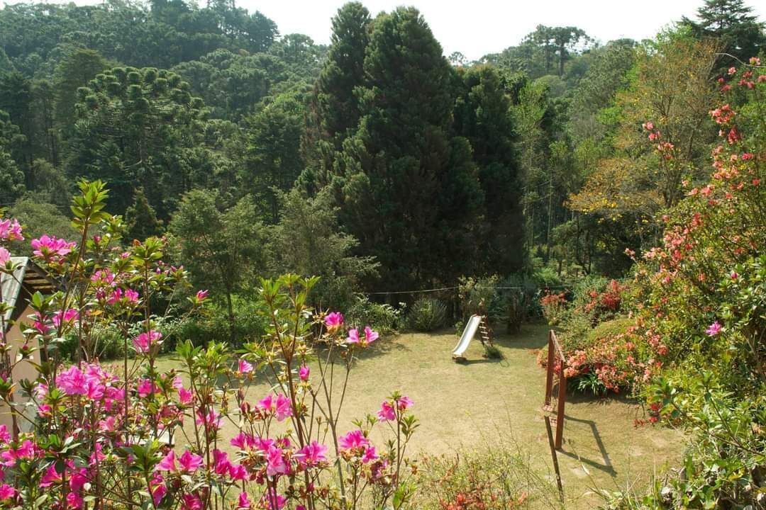 Photo of Outdoor in Campos do Jordao