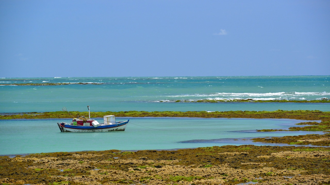 Photo of Outdoor in Bessa