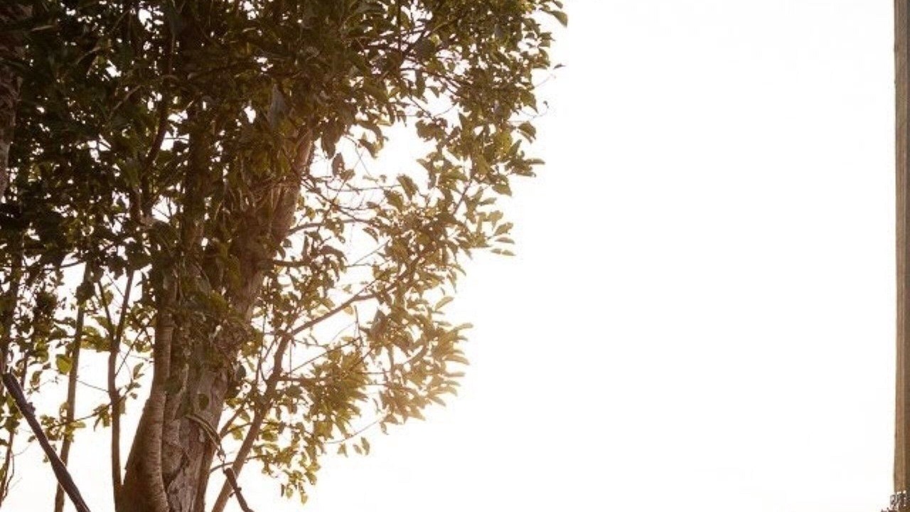 Photo of Outdoor in Rancho Queimado