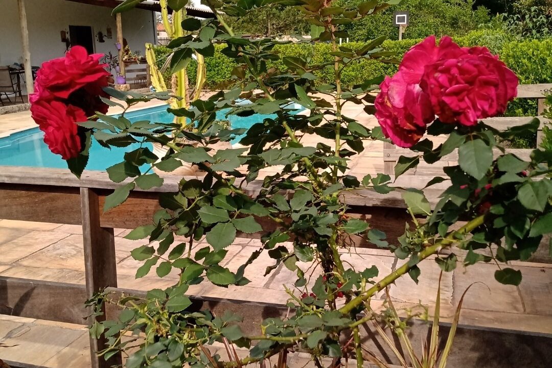 Photo of Outdoor in Mairipora