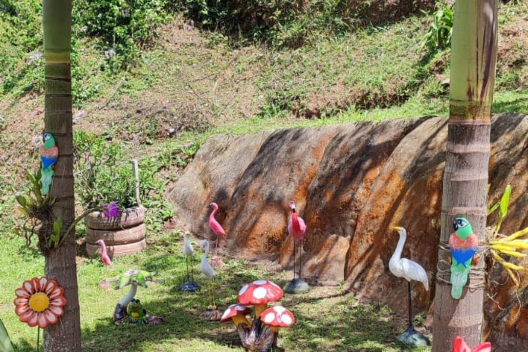 Photo of Outdoor in Mairipora
