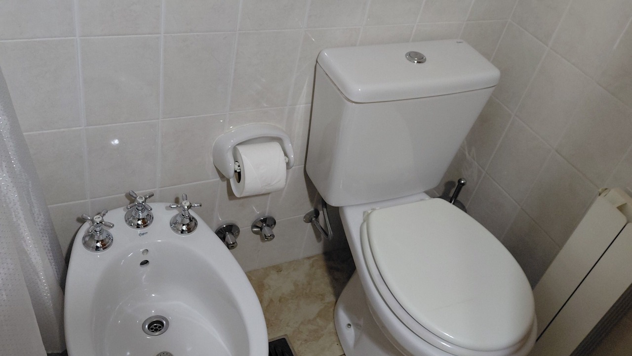 Photo of Bathroom in Lanin National Park