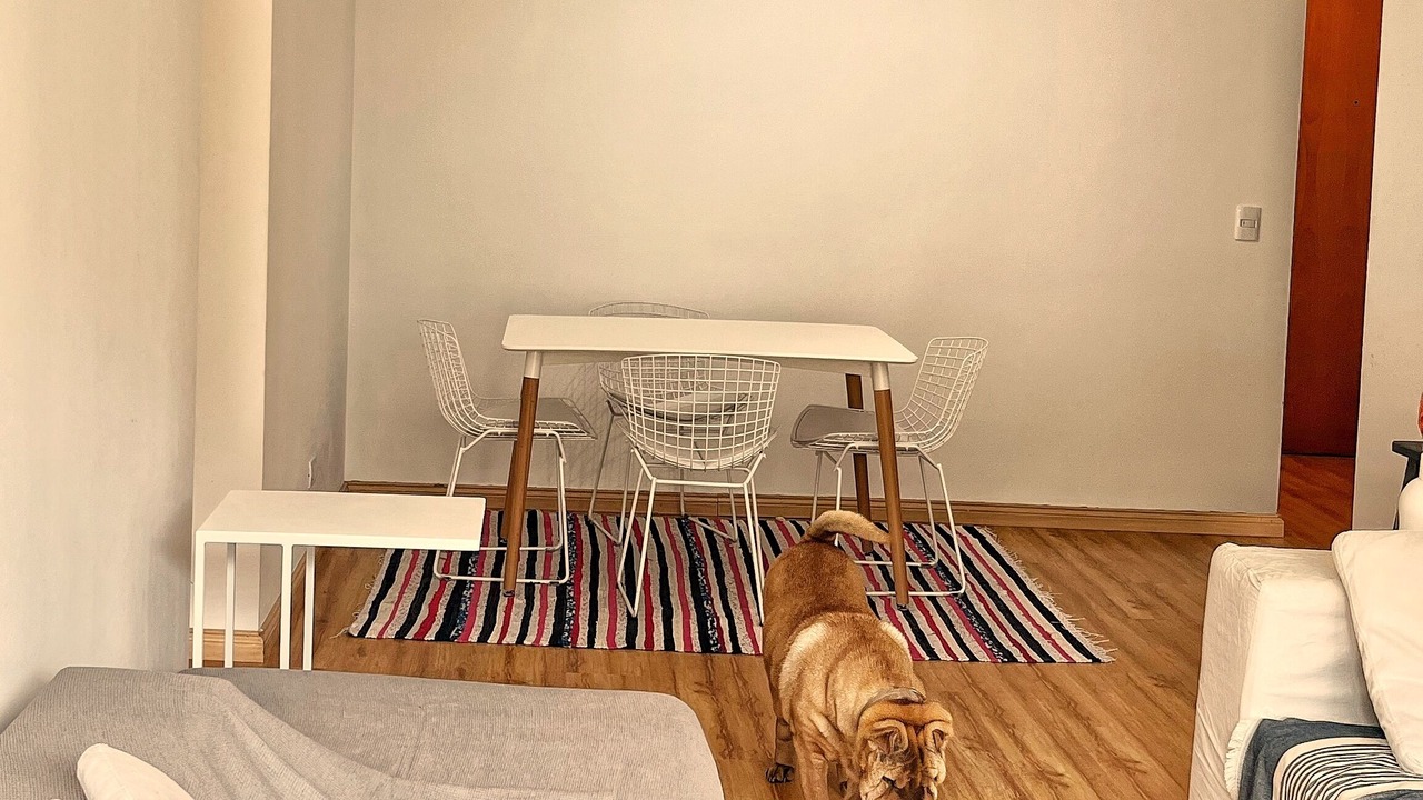 Photo of Livingroom in Nunez