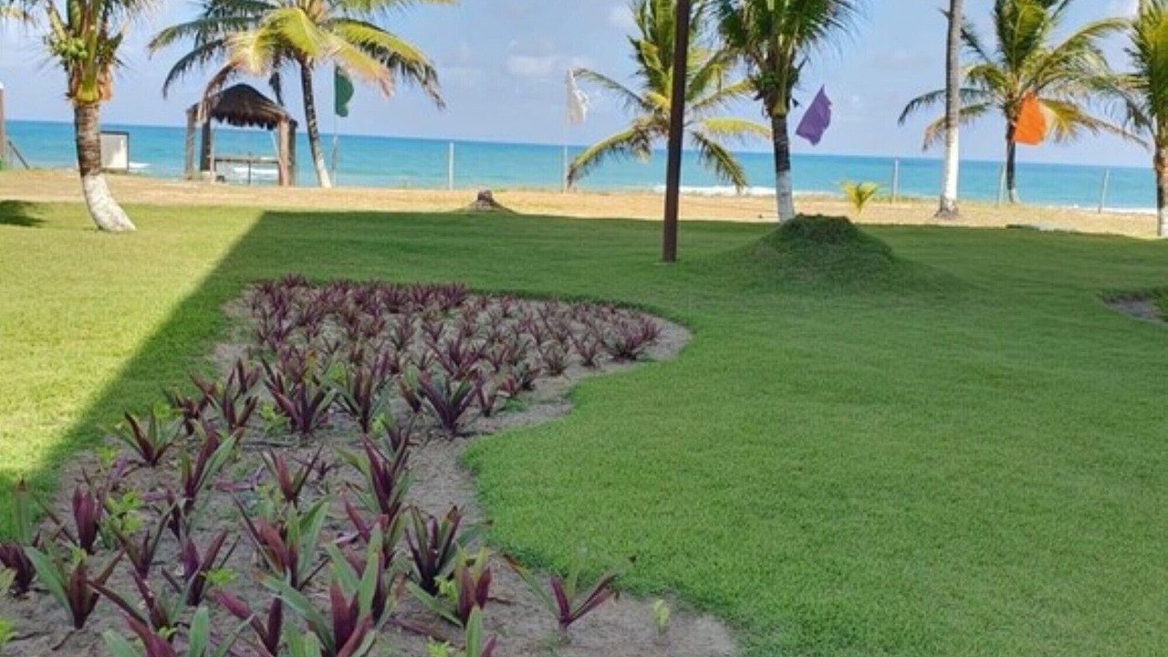 Photo of Outdoor in Nossa Senhora do O