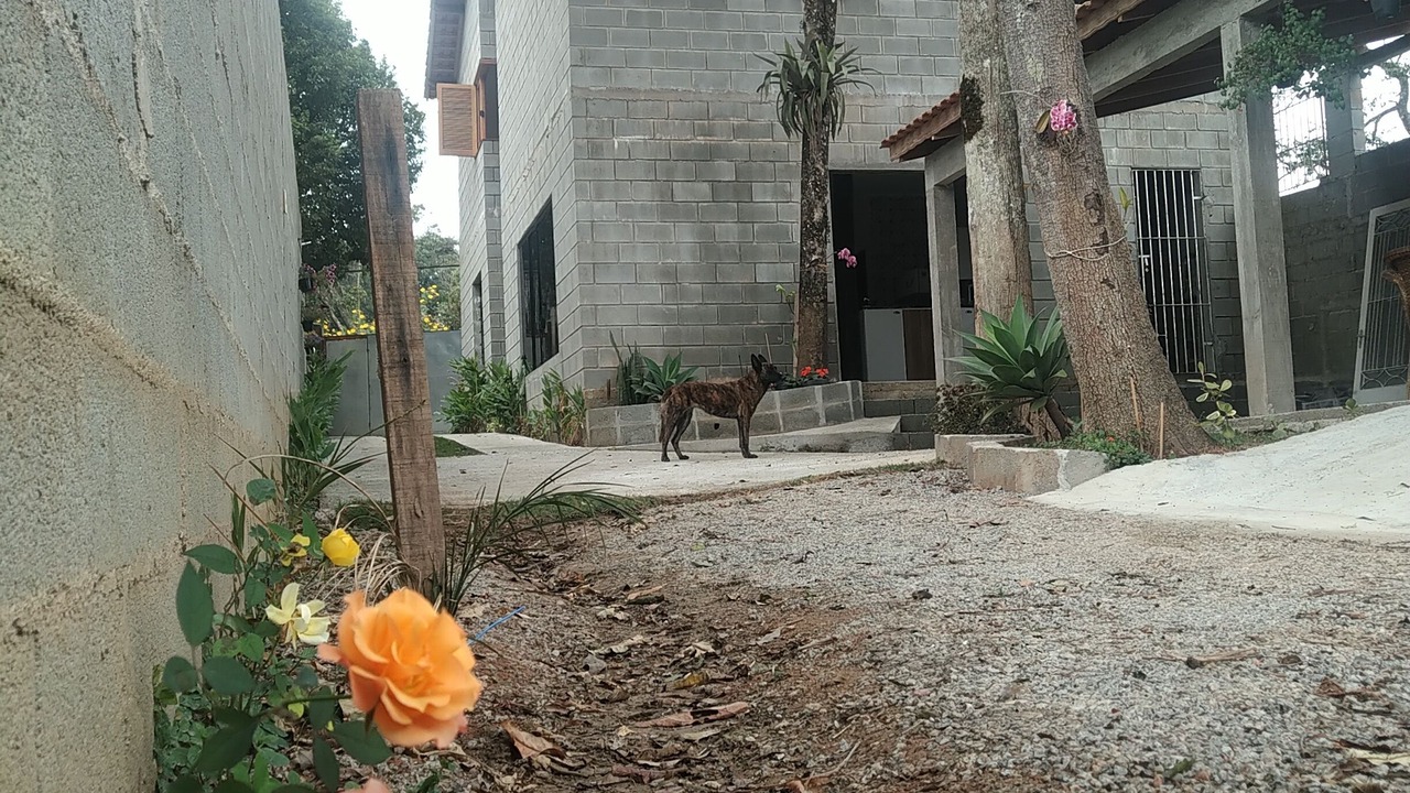 Photo of Outdoor in Sao Paulo