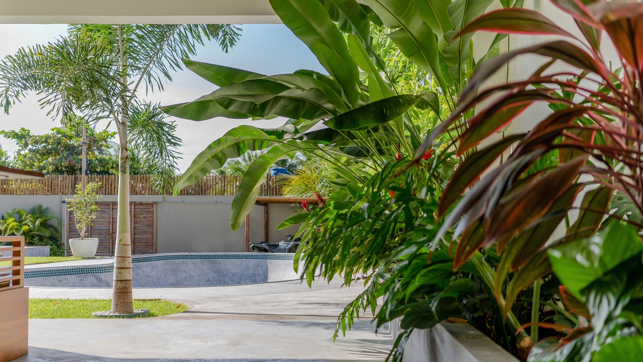 Photo of Outdoor in Caicara