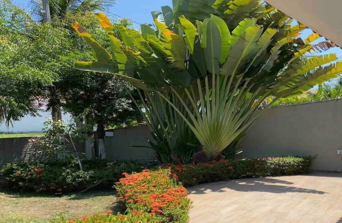 Photo of Outdoor in Tamandare