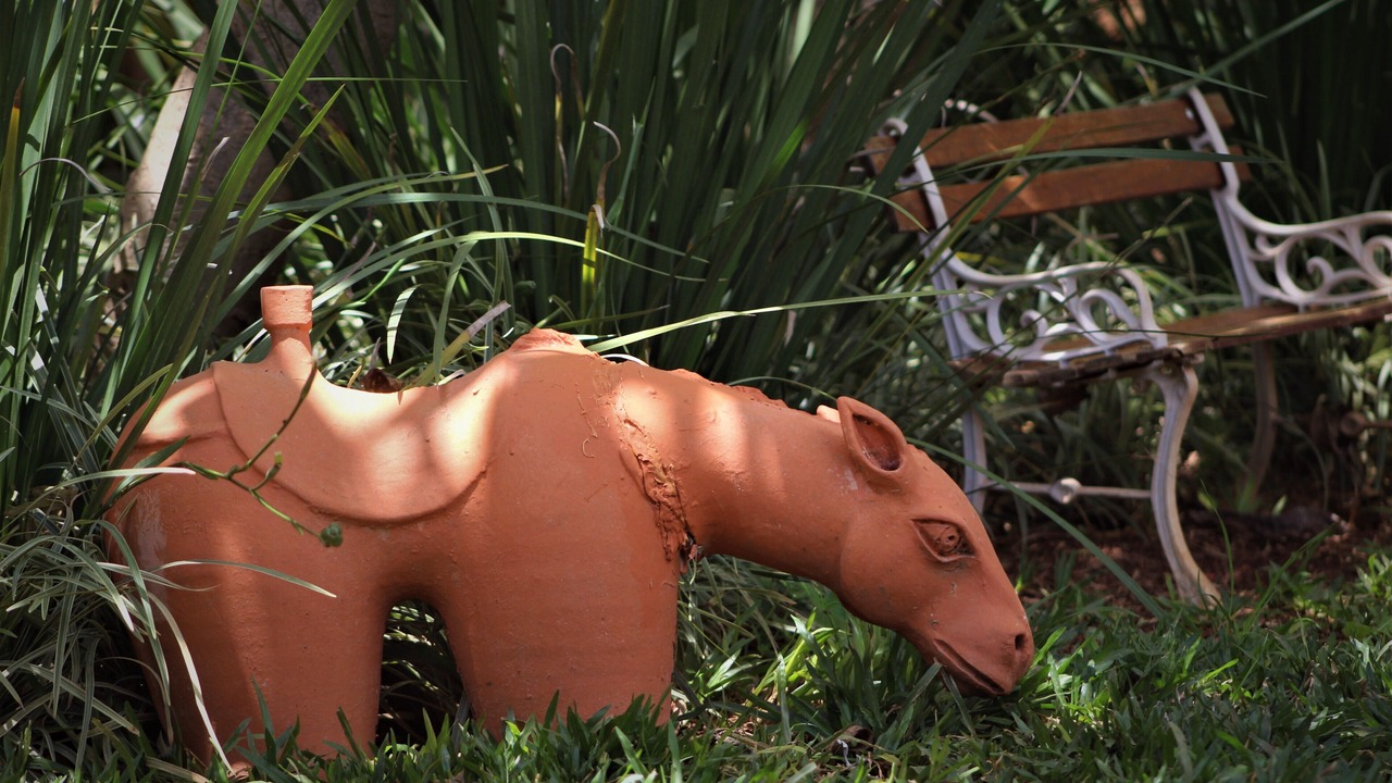 Photo of Outdoor in Pirenopolis