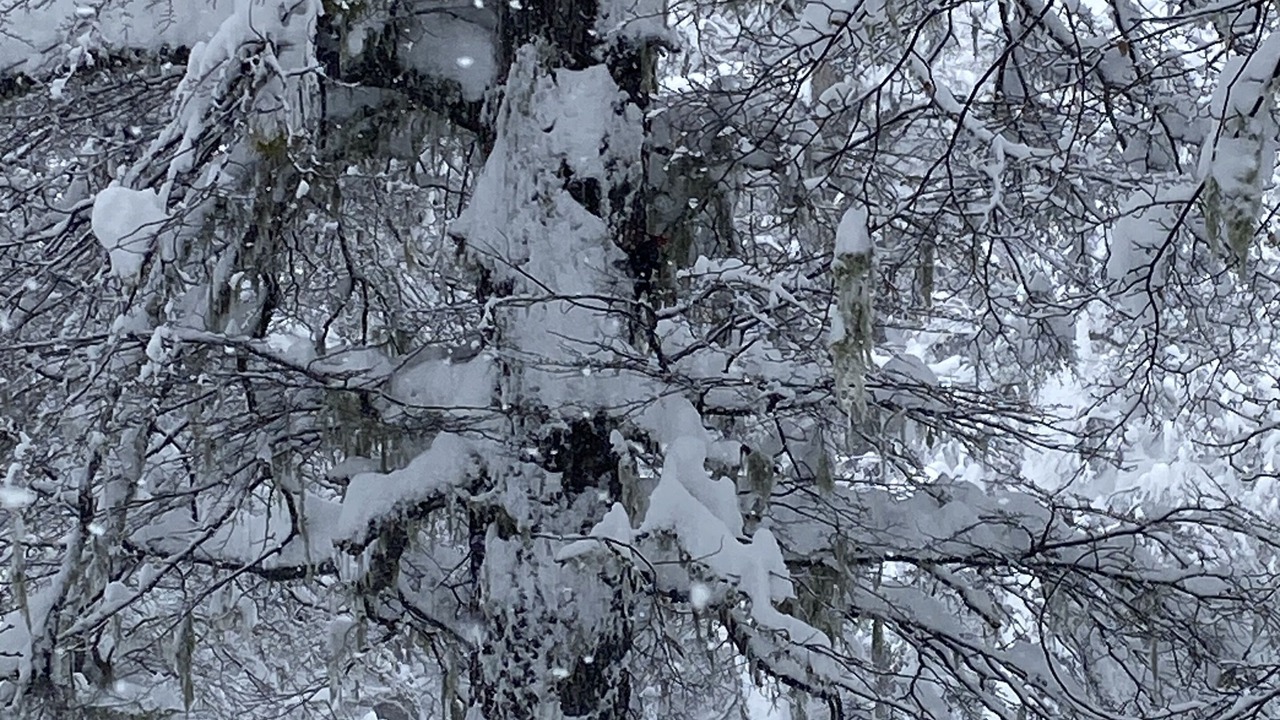 Photo of Outdoor in San Carlos de Bariloche