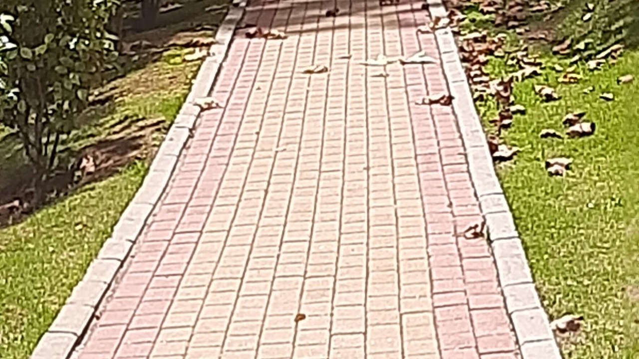 Photo of Outdoor in Vila Inglesa