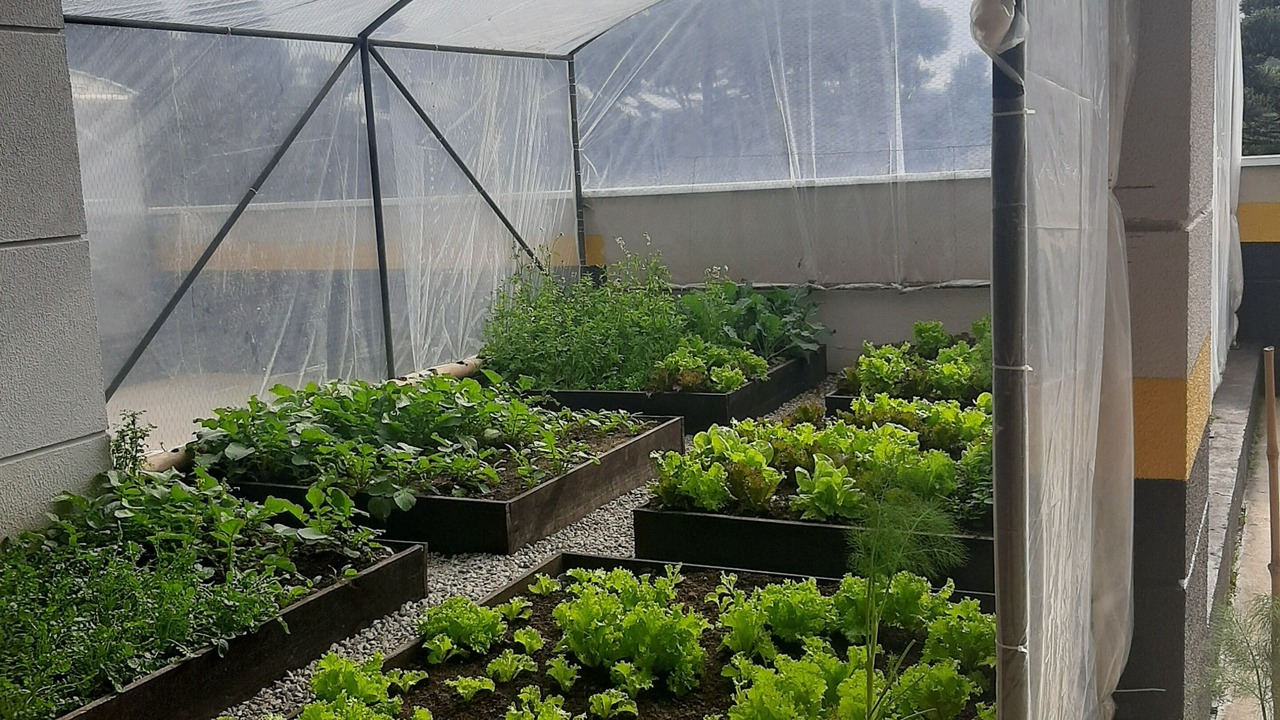 Photo of Outdoor in Vila Inglesa