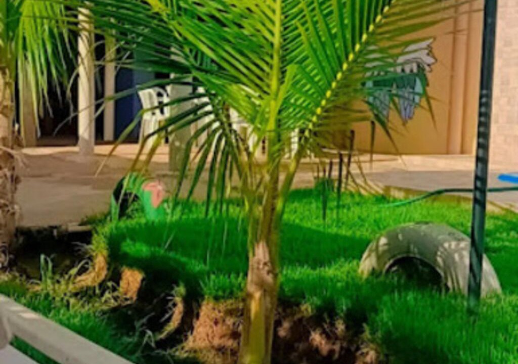 Photo of Outdoor in Mossoro