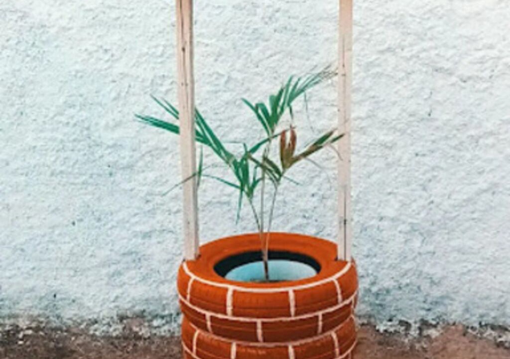 Photo of Outdoor in Mossoro