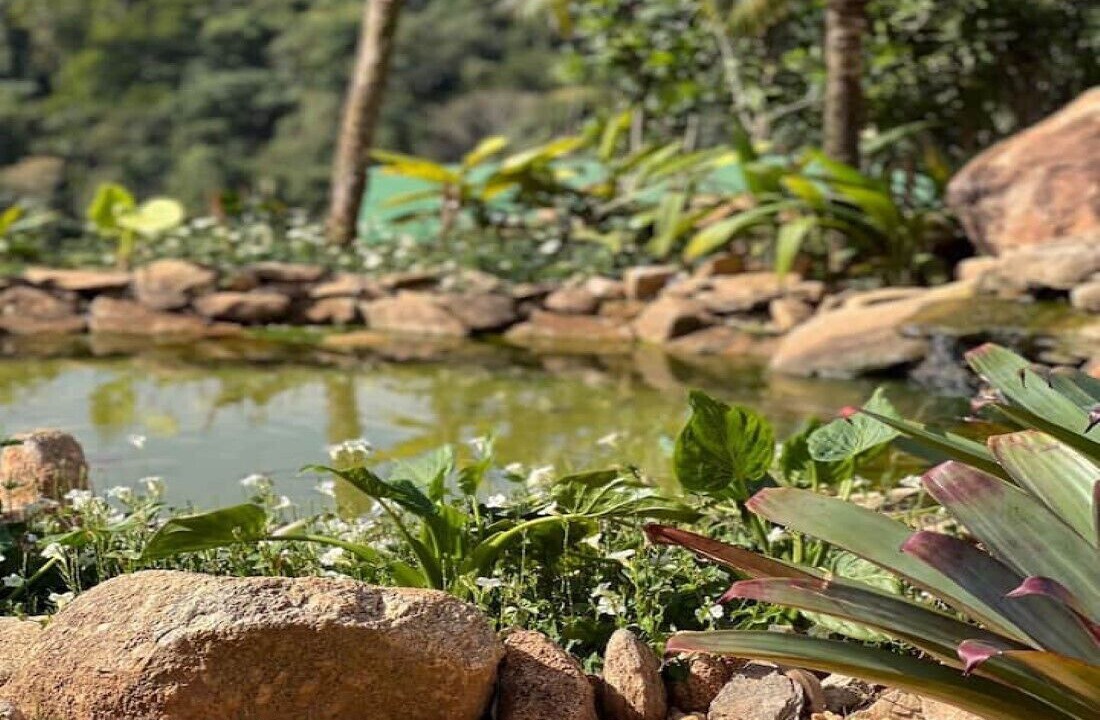 Photo of Outdoor in Morungaba
