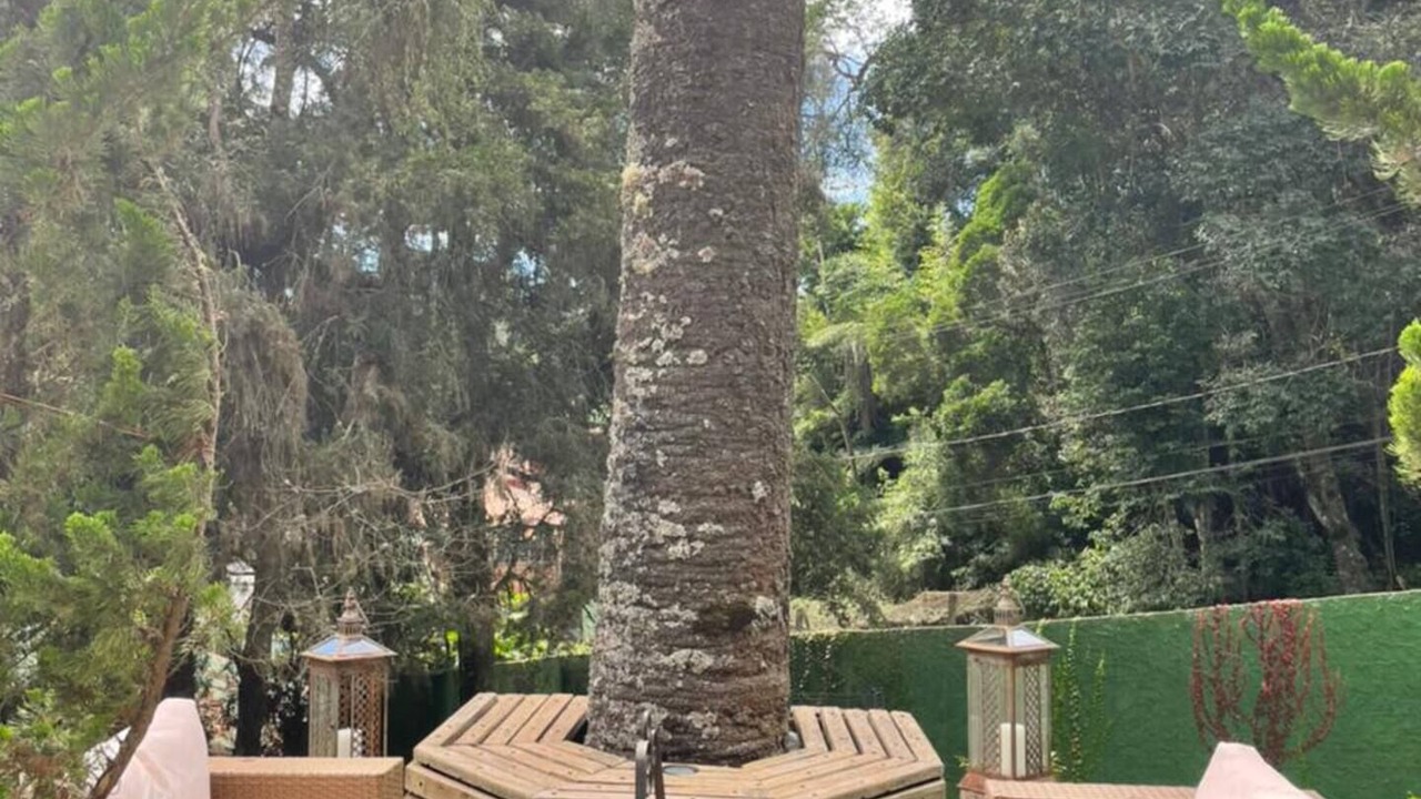 Photo of Patio Balcony in Jardim Andira