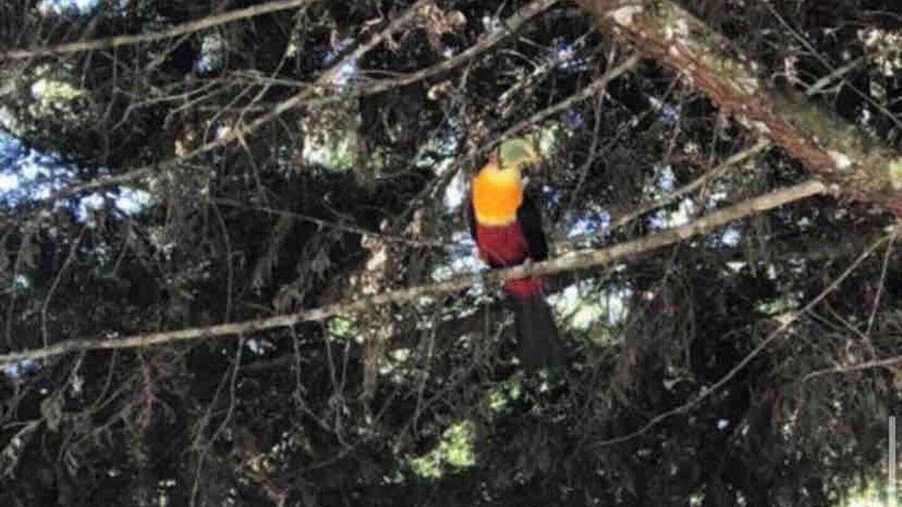 Photo of Others in Jardim Andira