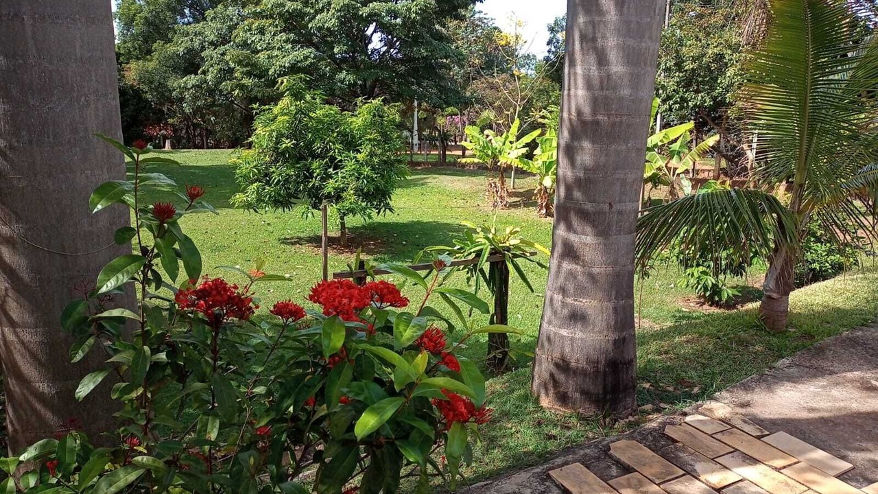 Photo of Outdoor in Mogi-Mirim