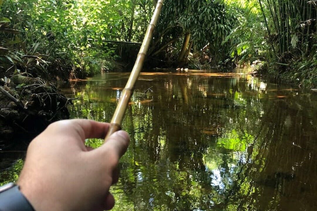 Photo of Outdoor in Morretes