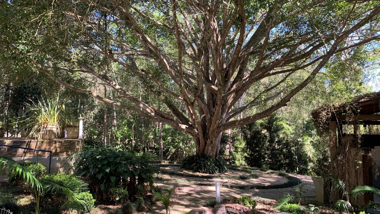 Photo of Outdoor in Mogi das Cruzes