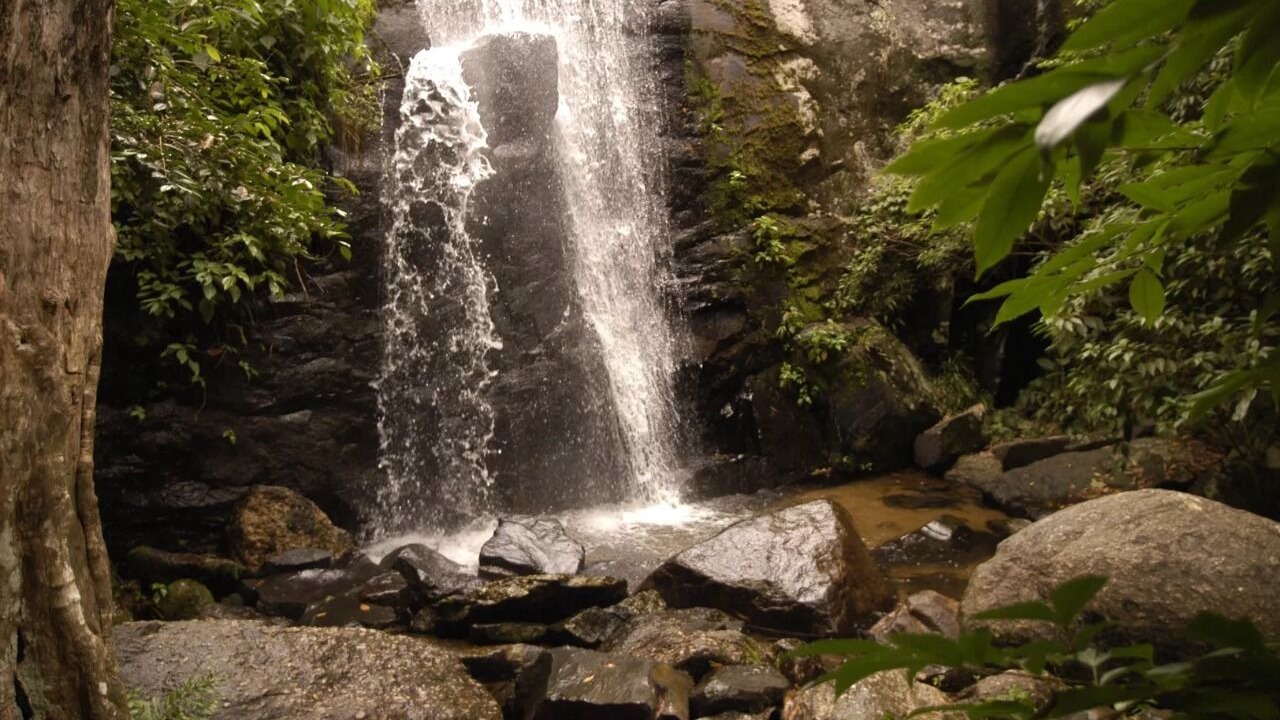 Photo of Outdoor in Praia Grande
