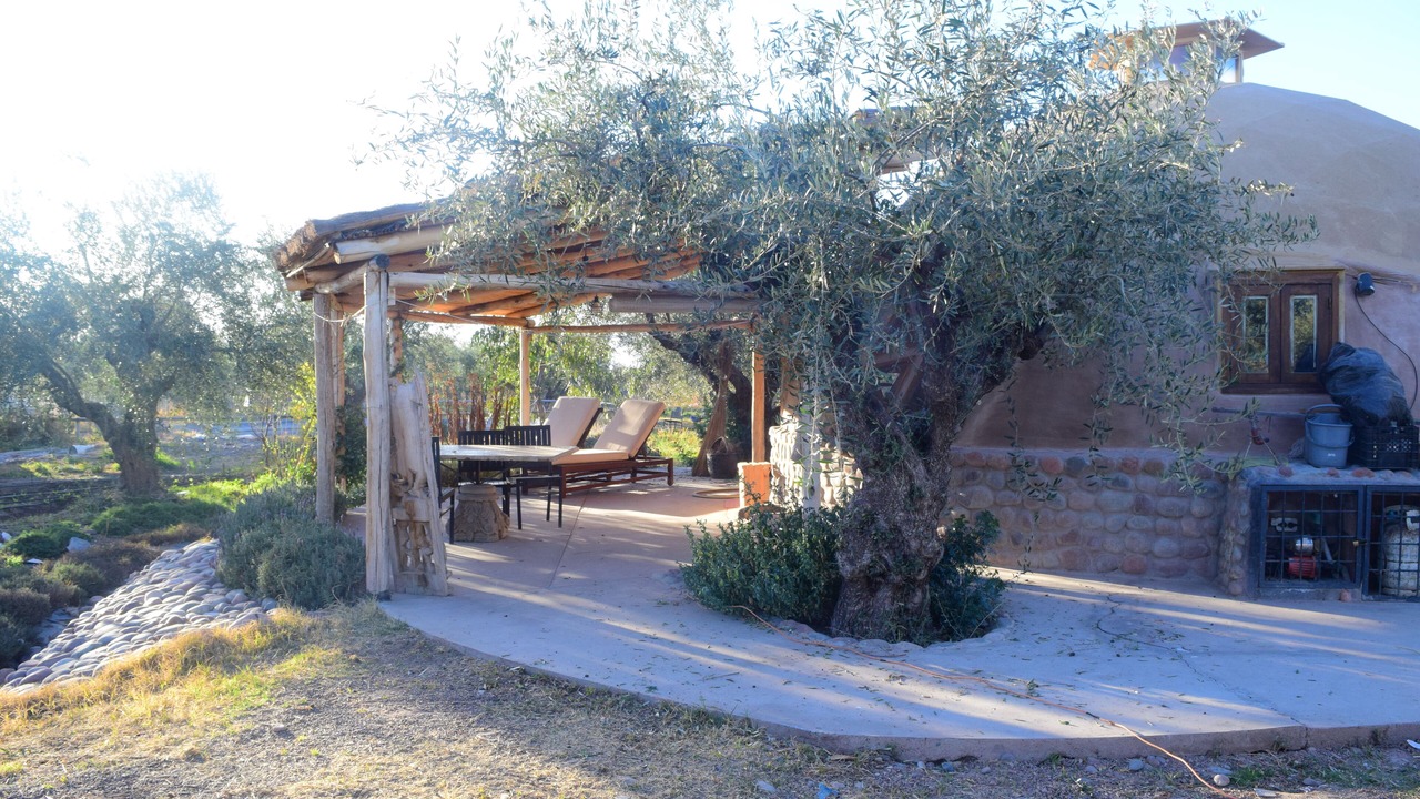 Photo of Outdoor in Coquimbito