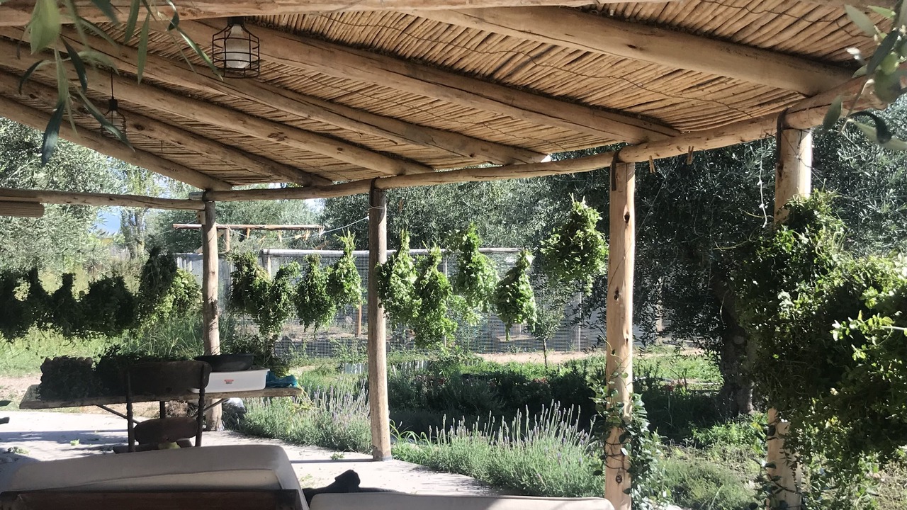 Photo of Outdoor in Coquimbito