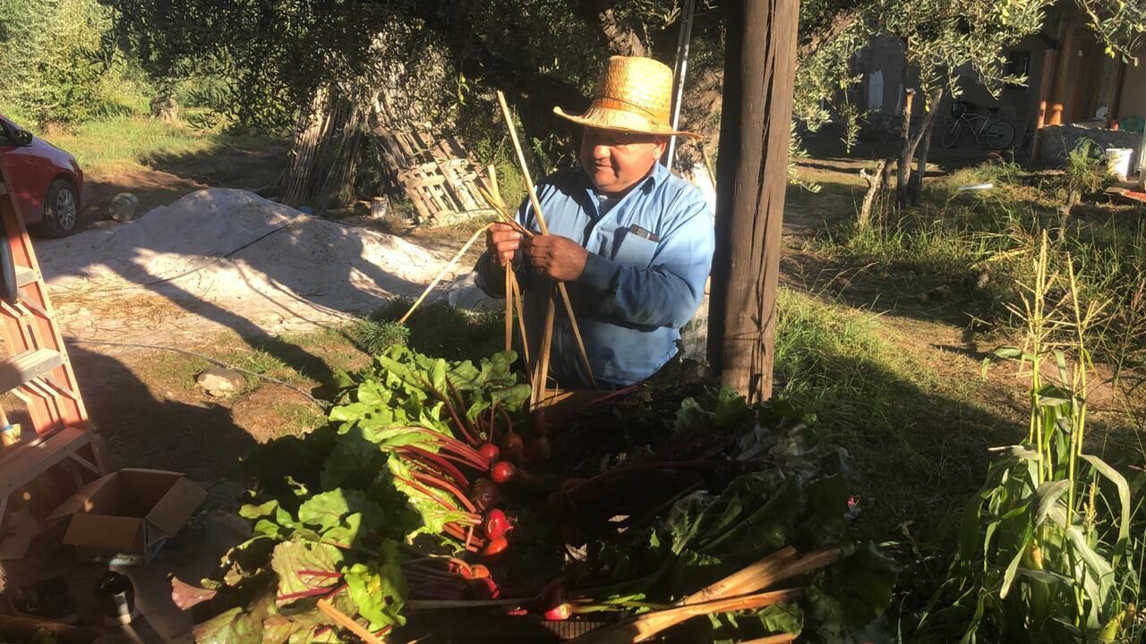 Photo of Others in Coquimbito
