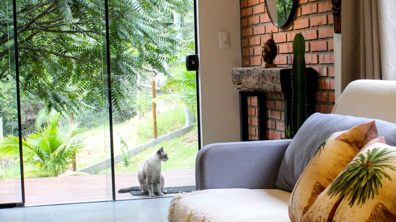 Photo of Livingroom in Praia do Rosa