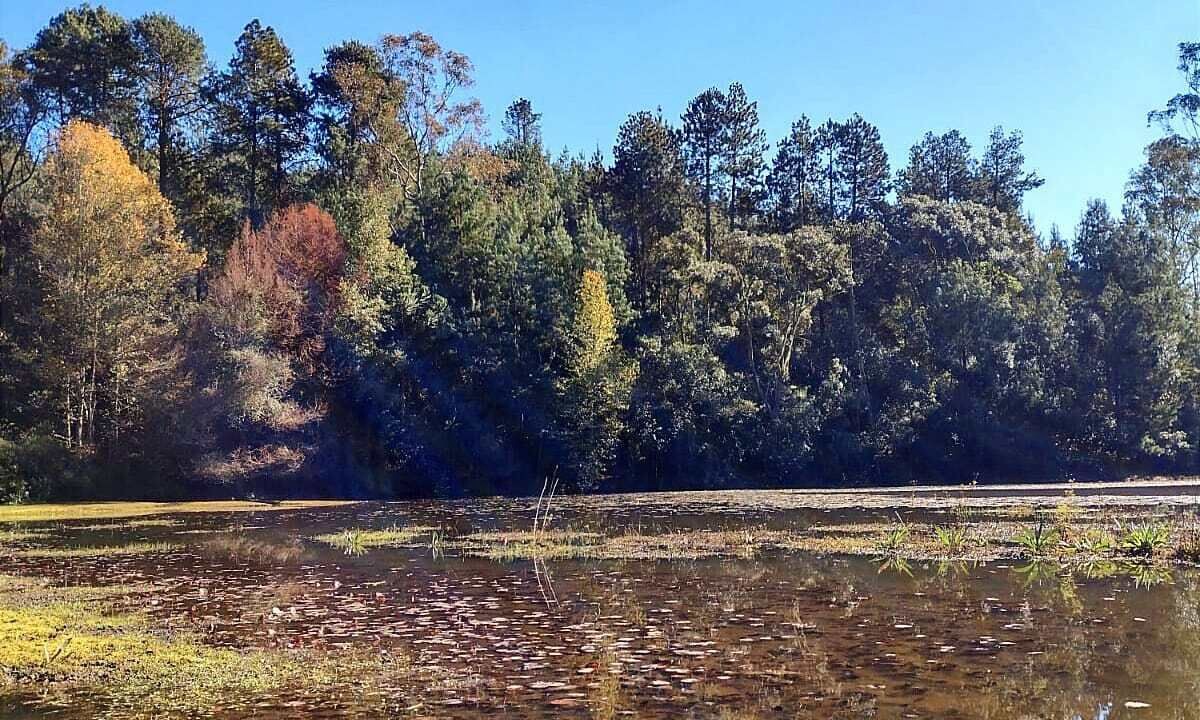 Photo of Outdoor in Campos do Jordao