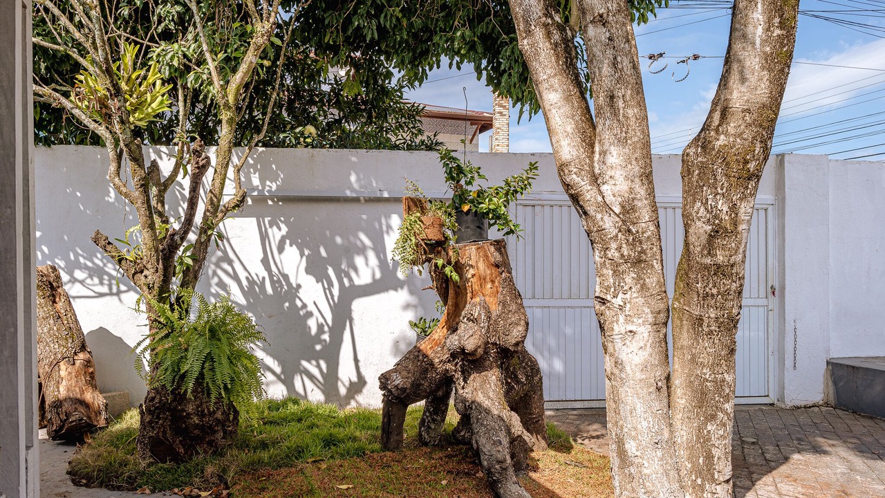 Photo of Outdoor in Balneario Florida